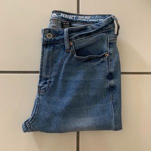 S.O.N.G Perfect High Rise Denim Skinny Jeans - Size: 9/29
